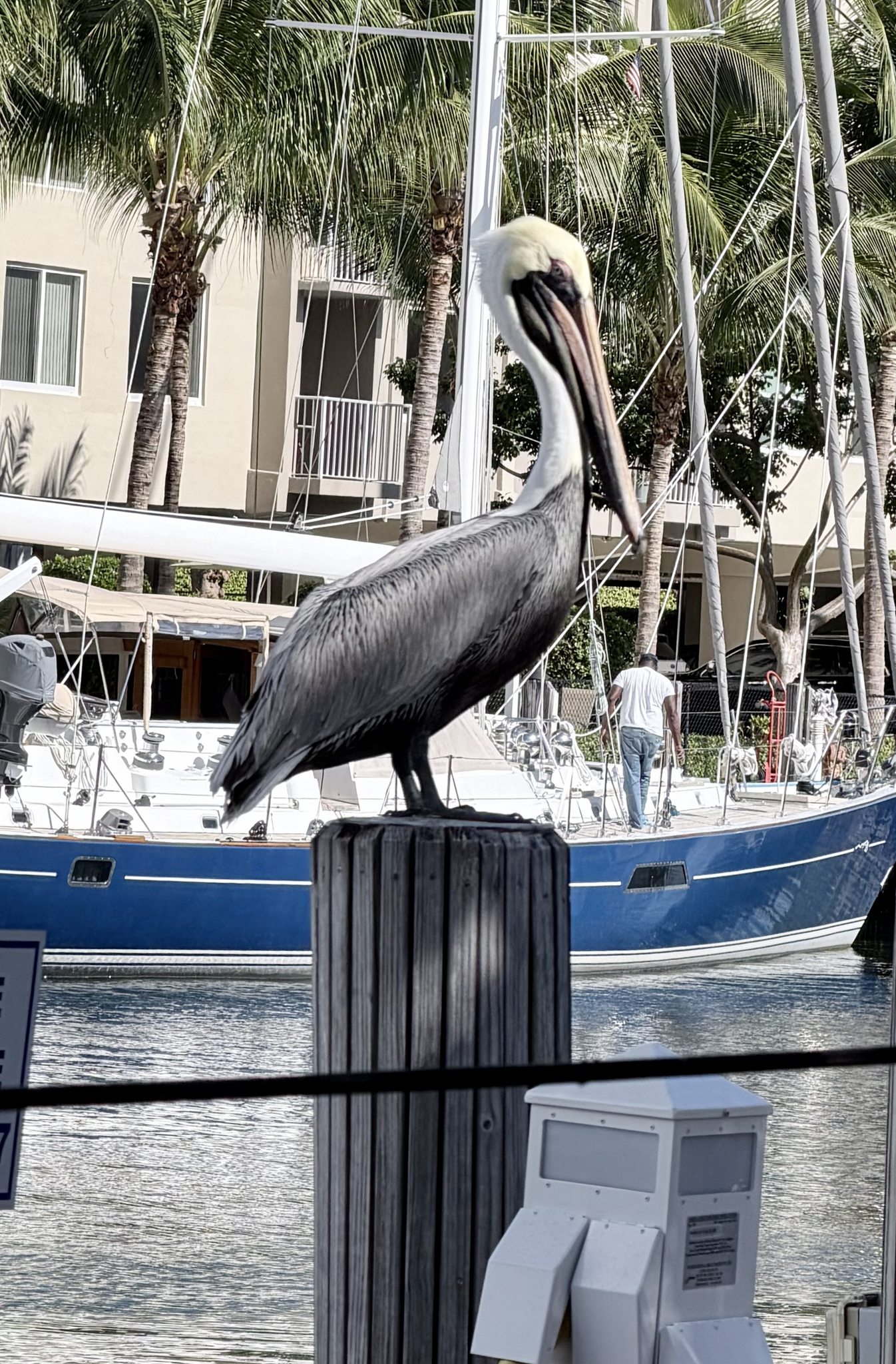 Workforce and job preparation